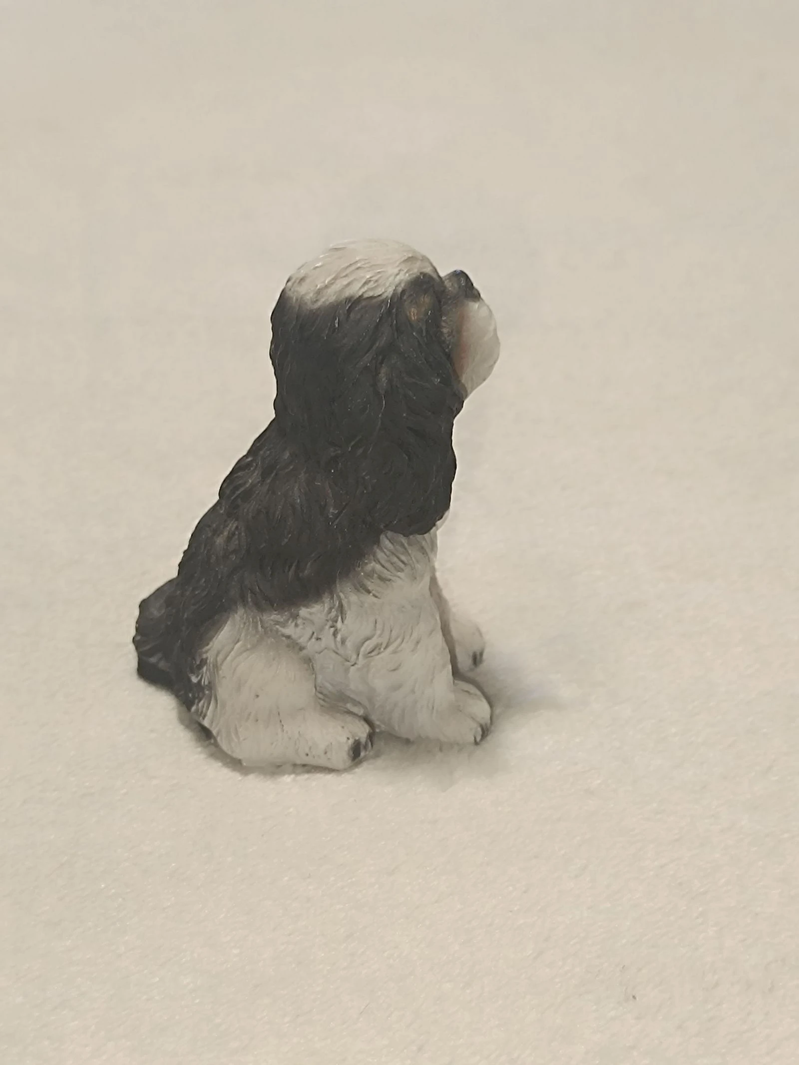 Miniatura de cachorro 🐶 Cavalier King Charles 🤎 – photo 4